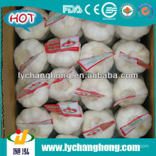 china organic garlic for united kingdom market with 10kg/ctn